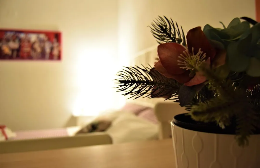 Il Moro Holiday Home-1
