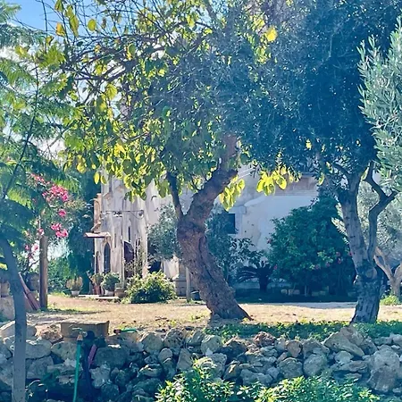 Mater Familias Oasis-2