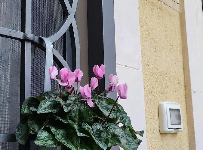 Appartamento Il Cortile della Patrona Syracuse