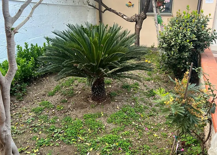 Appartamento Nel giardino di Nunziatina Syracuse