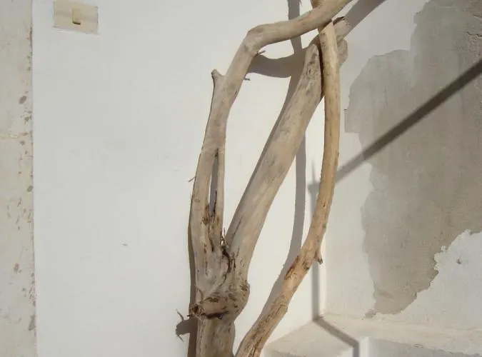 Appartamento Il Nido di Diana in Ortigia Syracuse
